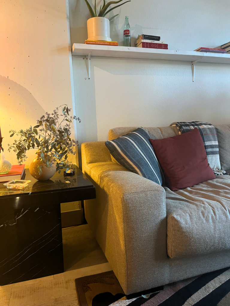cozy apartment living room