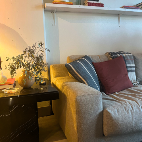 cozy apartment living room